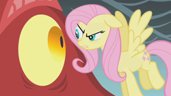 Size: 1280x720 | Tagged: safe, imported from derpibooru, screencap, basil, fluttershy, dragon, pegasus, pony, dragonshy, season 1, angry, badass, duo, eye contact, female, flutterbadass, looking at each other, looking at someone, male, mare, narrowed eyes, stare, the stare