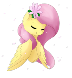 Size: 1334x1450 | Tagged: safe, artist:maravor, imported from derpibooru, fluttershy, pegasus, pony, chest fluff, cute, eyes closed, female, flower, flower in hair, folded wings, mare, petals, shyabetes, simple background, smiling, solo, transparent background, wings