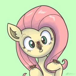 Size: 2048x2048 | Tagged: safe, artist:catscratchpaper, imported from derpibooru, fluttershy, insect, pegasus, pony, cicada, cute, female, green background, insect on nose, simple background, smiling, solo