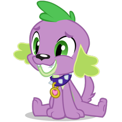 Size: 1400x1399 | Tagged: dead source, safe, imported from derpibooru, spike, spike the regular dog, dog, equestria girls, adorable face, collar, cute, fangs, grin, happy, male, nervous, nervous grin, official, pet tag, simple background, sitting, smiling, solo, spikabetes, spike the dog, tail, transparent background, vector