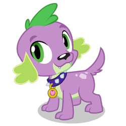 Size: 1400x1400 | Tagged: dead source, safe, imported from derpibooru, spike, spike the regular dog, dog, equestria girls, rainbow rocks, 2015, collar, fangs, male, official, pet tag, puppy, simple background, smiling, solo, spike the dog, transparent background, vector