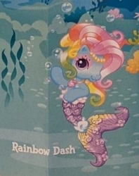 Size: 247x312 | Tagged: safe, imported from derpibooru, rainbow dash (g3), earth pony, mermaid, merpony, pony, accessory, blind bag, eyeshadow, fish tail, g3, g3.5, headband, jewelry, low quality, makeup, mermaid tail, mermaidized, name tag, necklace, official, pose, rainbow dash always dresses in style, solo, species swap, tail, toy