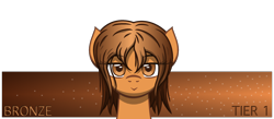 Size: 2300x1000 | Tagged: safe, artist:template93, imported from derpibooru, oc, oc only, oc:bronze, pony, banner, female, messy mane, patreon, simple background, smiling, solo, text, transparent background