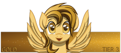 Size: 2300x1000 | Tagged: safe, artist:template93, imported from derpibooru, oc, oc only, oc:gold, pegasus, banner, female, patreon, simple background, smiling, solo, text, transparent background