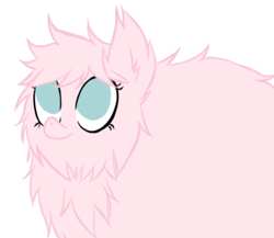 Size: 686x595 | Tagged: safe, artist:alandisc, imported from derpibooru, oc, oc only, oc:fluffle puff, earth pony, pony, chest fluff, ear fluff, female, fluffy, looking up, no pupils, simple background, solo, white background