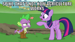 Size: 1066x600 | Tagged: safe, edit, edited screencap, editor:twi clown, imported from derpibooru, screencap, spike, twilight sparkle, alicorn, dragon, pony, father knows beast, agriculture, caption, dirty, duo, female, flower, image macro, male, mare, text, twilight sparkle (alicorn), winged spike, wings