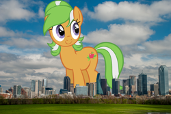 Size: 1280x857 | Tagged: safe, artist:sarxis, artist:thegiantponyfan, imported from derpibooru, apple leaves, earth pony, pony, apple family member, background pony, dallas, female, giant pony, giant/macro earth pony, giantess, highrise ponies, irl, macro, mare, mega giant, multicolored mane, multicolored tail, photo, ponies in real life, smiling, story included, tail, texas