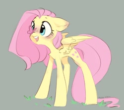 Size: 1008x895 | Tagged: safe, artist:melodylibris, imported from derpibooru, fluttershy, butterfly, pegasus, pony, blushing, butterfly on nose, chest fluff, cross-eyed, cute, female, floppy ears, insect on nose, looking at something, mare, open mouth, open smile, shyabetes, simple background, smiling, solo, spread wings, wings