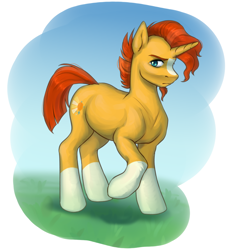 Size: 1114x1222 | Tagged: safe, artist:tigra0118, imported from derpibooru, sunburst, pony, unicorn, coat markings, digital art, grass, looking at you, male, raised hoof, simple background, socks (coat markings), solo, stallion, white background