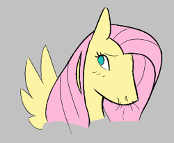 Size: 298x244 | Tagged: safe, fluttershy, pegasus, pony, aggie.io, female, hoers, lowres, mare, nervous, simple background, spread wings, whiskers, wings