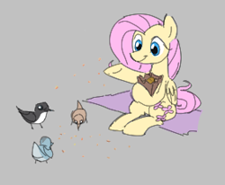Size: 280x231 | Tagged: safe, fluttershy, bird, pegasus, pony, aggie.io, female, mare, seed, simple background, sitting