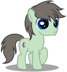 Size: 2748x2979 | Tagged: safe, artist:strategypony, imported from derpibooru, oc, oc only, oc:paradox, earth pony, pony, colt, foal, male, simple background, solo, transparent background, younger