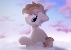 Size: 2553x1809 | Tagged: safe, artist:mochi_nation, imported from derpibooru, oc, oc only, oc:sunrich maron, pegasus, pony, cloud, female, freckles, looking back, mare, on a cloud, redraw, sitting, sitting on a cloud, sky, solo