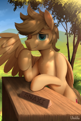 Size: 2571x3818 | Tagged: safe, artist:uliovka, imported from derpibooru, oc, oc only, pegasus, pony, drool, grass, grass field, looking at you, male, scenery, smiling, tree