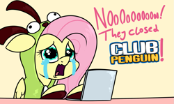 Size: 1189x707 | Tagged: safe, artist:moonatik, imported from derpibooru, fluttershy, pegasus, pony, antonymph, clothes, club penguin, computer, crying, female, fluttgirshy, gir, hoodie, laptop computer, mare, solo, vylet pony