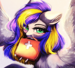 Size: 4300x3900 | Tagged: safe, artist:krissstudios, imported from derpibooru, oc, oc only, oc:eagle fly, pegasus, pony, absurd file size, female, first aid kit, mare, medic, mouth hold, pegasus oc, solo