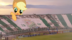 Size: 1280x720 | Tagged: safe, artist:thatguy1945, editor:jojodidu, imported from derpibooru, applejack, earth pony, human, pony, applejack's hat, ball, bolivia, cowboy hat, cross, emblem, female, flag, football, football stadium, giant earth pony, giant pony, giantess, hat, highrise ponies, irl, irl human, macro, mare, oriente petrolero, palm tree, photo, ponies in real life, santa cruz (bolivia), spanish text, sports, stadium, stars, tree