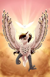 Size: 1518x2340 | Tagged: safe, artist:mr-tiaa, imported from derpibooru, oc, oc only, oc:silent flight, bird, hippogriff, owl, flying, hippogriff oc, spread wings, sunrise, talons, teary eyes, wings