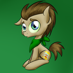 Size: 1024x1024 | Tagged: safe, artist:katiegreenfoxkater, imported from derpibooru, doctor whooves, time turner, oc, oc:tantamount, earth pony, pony, disguise, disguised changeling, eyebrows, full body, gradient background, hooves, male, one ear down, sitting, solo, stallion, tail