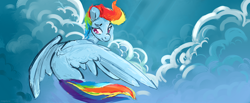 Size: 2900x1200 | Tagged: safe, artist:megalura, imported from derpibooru, rainbow dash, pegasus, pony, cloud, female, flying, mare, signature, sky, solo