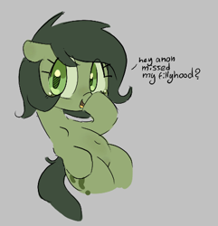 Size: 420x436 | Tagged: safe, artist:parfait, oc, oc:filly anon, earth pony, pony, aggie.io, female, filly, implied anon, looking at you, mare, open mouth, simple background, smiling, talking