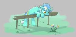 Size: 564x280 | Tagged: safe, artist:firecracker, lyra heartstrings, pony, unicorn, aggie.io, female, fence, flower, mare, simple background