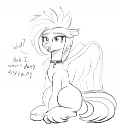 Size: 1489x1533 | Tagged: safe, artist:cosmonaut, imported from derpibooru, oc, oc only, oc:giselle, classical hippogriff, hippogriff, female, grayscale, looking at you, monochrome, simple background, sitting, sketch, solo, talking to viewer, white background