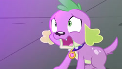 Size: 3410x1920 | Tagged: safe, imported from derpibooru, screencap, spike, spike the regular dog, dog, equestria girls, friendship games, high res, male, open mouth, solo