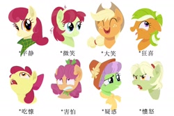 Size: 1664x1113 | Tagged: safe, artist:luansh, imported from derpibooru, apple bloom, apple bumpkin, apple dumpling, apple leaves, apple rose, applejack, auntie applesauce, granny smith, earth pony, pony, apple family member, chinese, female, filly, foal, mare, simple background, white background, young granny smith, younger