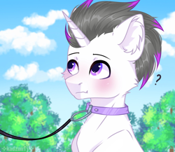 Size: 1770x1534 | Tagged: safe, artist:freyamilk, imported from derpibooru, oc, oc only, oc:haze rad, pony, unicorn, :t, blushing, cheek fluff, collar, commission, commissioner:biohazard, cute, detailed background, ear fluff, eyebrows, highlights, horn, leash, looking at someone, looking at something, male, pet play, pony pet, purple eyes, question mark, solo, stallion, unicorn oc, ych result