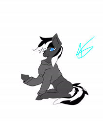 Size: 2534x2988 | Tagged: safe, artist:daringspeed, imported from derpibooru, oc, oc only, oc:kenn, earth pony, clothes, hoodie, male, simple background, solo, stallion, white background