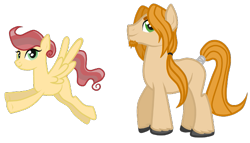 Size: 721x411 | Tagged: safe, artist:castorochiaro, imported from derpibooru, oc, oc only, earth pony, pegasus, pony, duo, female, male, mare, offspring, parent:big macintosh, parent:daring do, parent:fluttershy, parent:pinkie pie, parents:daring pie, parents:fluttermac, simple background, spread wings, stallion, transparent background, unshorn fetlocks, wings