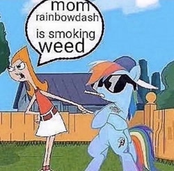 Size: 900x883 | Tagged: safe, imported from derpibooru, rainbow dash, human, pegasus, pony, backyard, bipedal, candace flynn, crossover, deep fried meme, drug use, drugs, female, grass, mare, marijuana, meme, needs more jpeg, phineas and ferb, pointing, tree