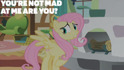 Size: 1280x720 | Tagged: safe, edit, edited screencap, editor:quoterific, imported from derpibooru, screencap, fluttershy, pegasus, pony, baby cakes, season 2, female, fluttershy's cottage, mare, solo, spread wings, text, wings