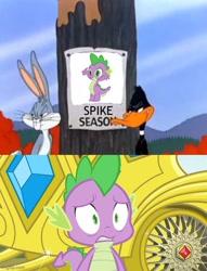 Size: 500x656 | Tagged: safe, editor:spikeabuser, screencap, spike, dragon, abuse, bugs bunny, crossover, daffy duck, duck season rabbit season, looney tunes, male, scared, spikeabuse