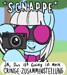 Size: 260x289 | Tagged: safe, photo finish, pony, aggie.io, camera, female, glasses, lowres, mare, meme, simple background, smiling