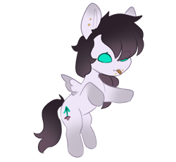 Size: 491x452 | Tagged: artist needed, safe, imported from derpibooru, oc, oc only, oc:sugar leaves, pony, simple background, solo, transparent background