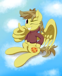 Size: 1959x2421 | Tagged: safe, artist:itchystomach, imported from derpibooru, oc, oc only, pegasus, pony, clothes, cloud, hoodie, one eye closed, simple background, sitting, sky, solo, thumbs up, wing hands, wings, wink