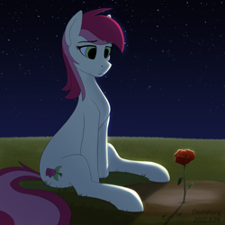 Size: 2600x2600 | Tagged: safe, artist:dash wang, imported from derpibooru, roseluck, earth pony, pony, female, flower, grass, grass field, moonlight, night, rose, solo