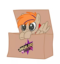 Size: 702x743 | Tagged: safe, artist:angeloid shadow, imported from derpibooru, oc, oc only, oc:fededash, pegasus, pony, box, pegasus oc, pony in a box, simple background, white background