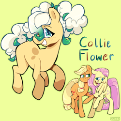 Size: 2048x2048 | Tagged: safe, artist:3ggmilky, imported from derpibooru, applejack, fluttershy, oc, oc:collie flower, earth pony, pony, appleshy, earth pony oc, female, lesbian, magical lesbian spawn, next generation, offspring, parent:applejack, parent:fluttershy, parents:appleshy, shipping, simple background