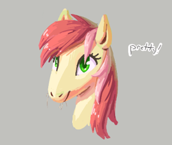Size: 424x360 | Tagged: safe, roseluck, earth pony, pony, aggie.io, simple background, smiling, snoofa, whiskers