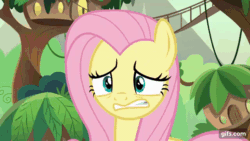 Size: 640x360 | Tagged: safe, imported from derpibooru, screencap, fluttershy, kirin, pegasus, pony, season 8, sounds of silence, spoiler:s08, animated, female, floppy ears, gif, gifs.com, grin, mare, nervous, nervous grin, smiling