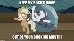 Size: 898x500 | Tagged: safe, artist:mlpfan3991, edit, edited screencap, imported from derpibooru, screencap, applejack, rarity, tom, earth pony, unicorn, the return of harmony, abuse, caption, chris rock, discorded, female, fight, fighting words, image macro, keep my wife's name out of your mouth, meme, oscar, parody, ponified meme, rock, text, will smith, will smith slapping chris rock