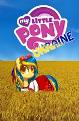 Size: 702x1080 | Tagged: safe, artist:hellaoggi, edit, imported from derpibooru, oc, oc:ukraine, pony, food, irl, my little pony logo, nation ponies, photo, ponies in real life, ponified, sky, solo, ukraine, vk, wheat