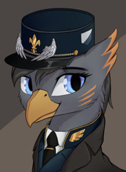 Size: 1732x2362 | Tagged: safe, artist:qwq2233, imported from derpibooru, oc, oc only, griffon, equestria at war mod, blue eyes, bust, cap, cheek fluff, clothes, hat, necktie, portrait, solo, white shirt