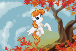 Size: 864x584 | Tagged: safe, artist:bedupolker, imported from derpibooru, oc, oc only, pegasus, pony, leaves, solo, tree