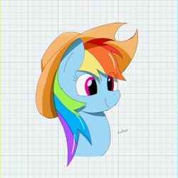 Size: 3200x3200 | Tagged: safe, artist:huodx, rainbow dash, pony, female, hat, mare, simple background, smiling