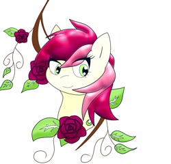 Size: 2048x1962 | Tagged: safe, artist:zeon_starlight, imported from derpibooru, roseluck, earth pony, pony, bust, eye clipping through hair, female, flower, leaf, mare, portrait, rose, simple background, solo, white background