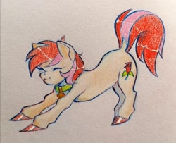 Size: 1600x1302 | Tagged: safe, artist:13pw, imported from derpibooru, roseluck, pony, behaving like a cat, collar, commission, commissioner:doom9454, cute, pet tag, pony pet, rosepet, stretching, traditional art